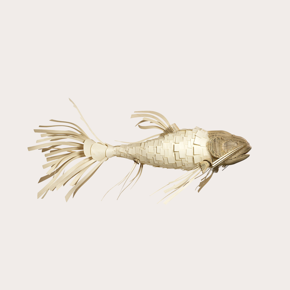 Lzf koi outlet