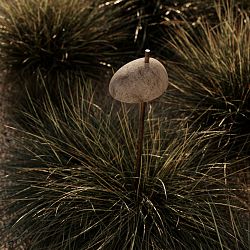 Pantarhei-331-10-11-close-up-zenith-1747293843.jpg