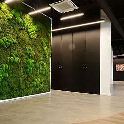 THF-7292klein-1651757838.jpg