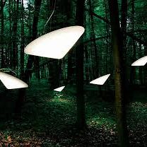 images-1587564365.jpg